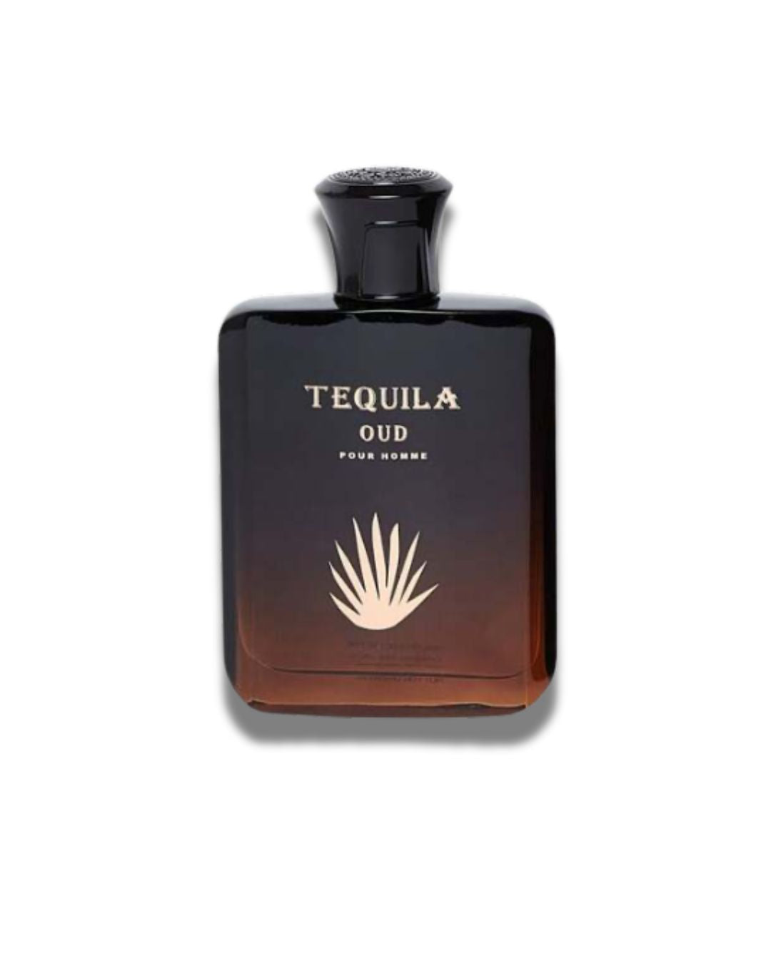 Tequila Oud by Tequila Eau de Parfum – a bold fragrance with smoky oud, warm spices, and deep woody notes.